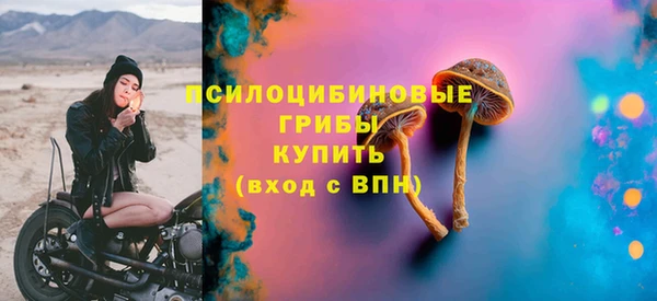 гашик Протвино
