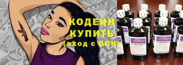 прущие грибы Щёлкино