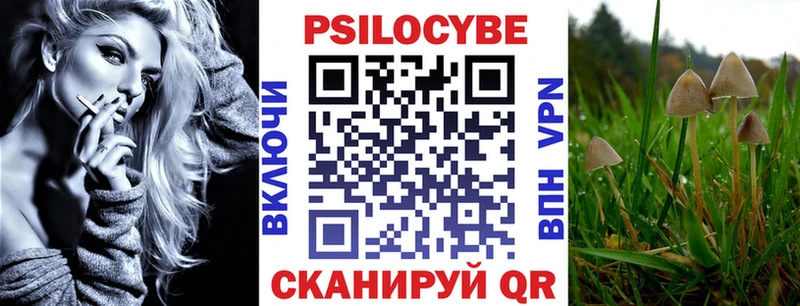 omg как войти что такое наркотик Судогда Псилоцибиновые грибы Cubensis